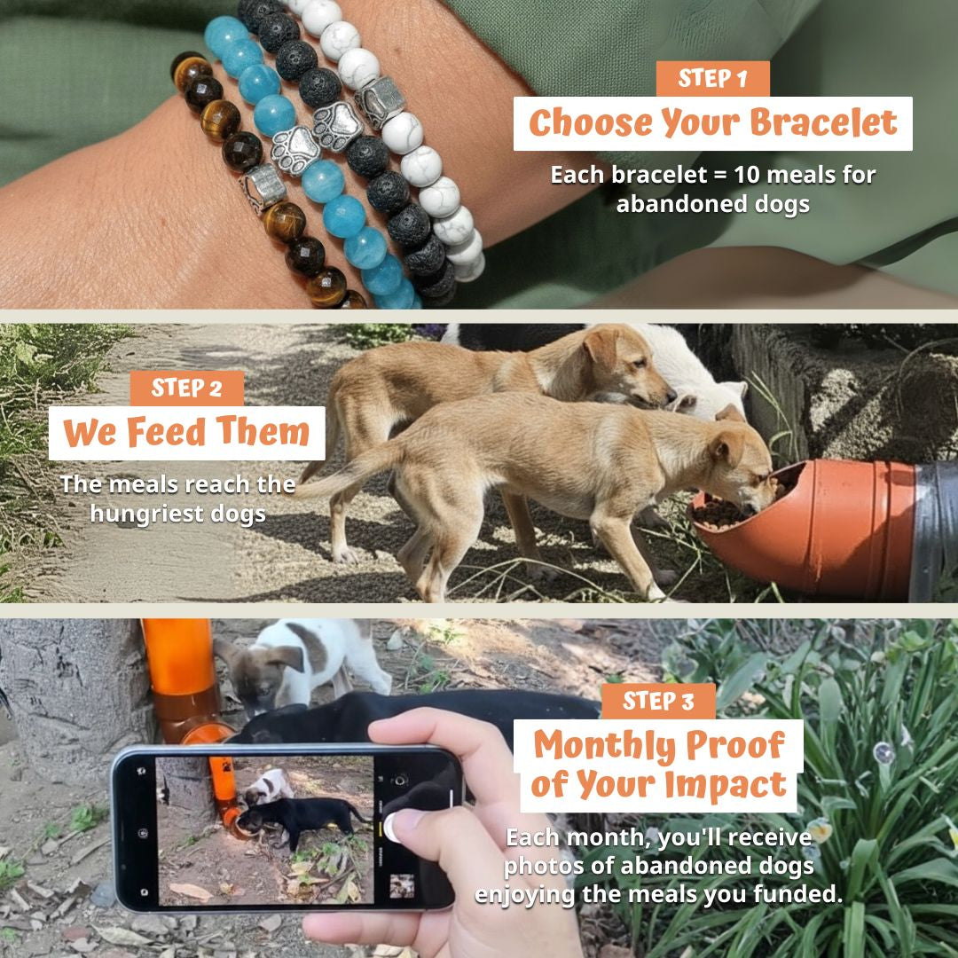 Four Paws Bracelet