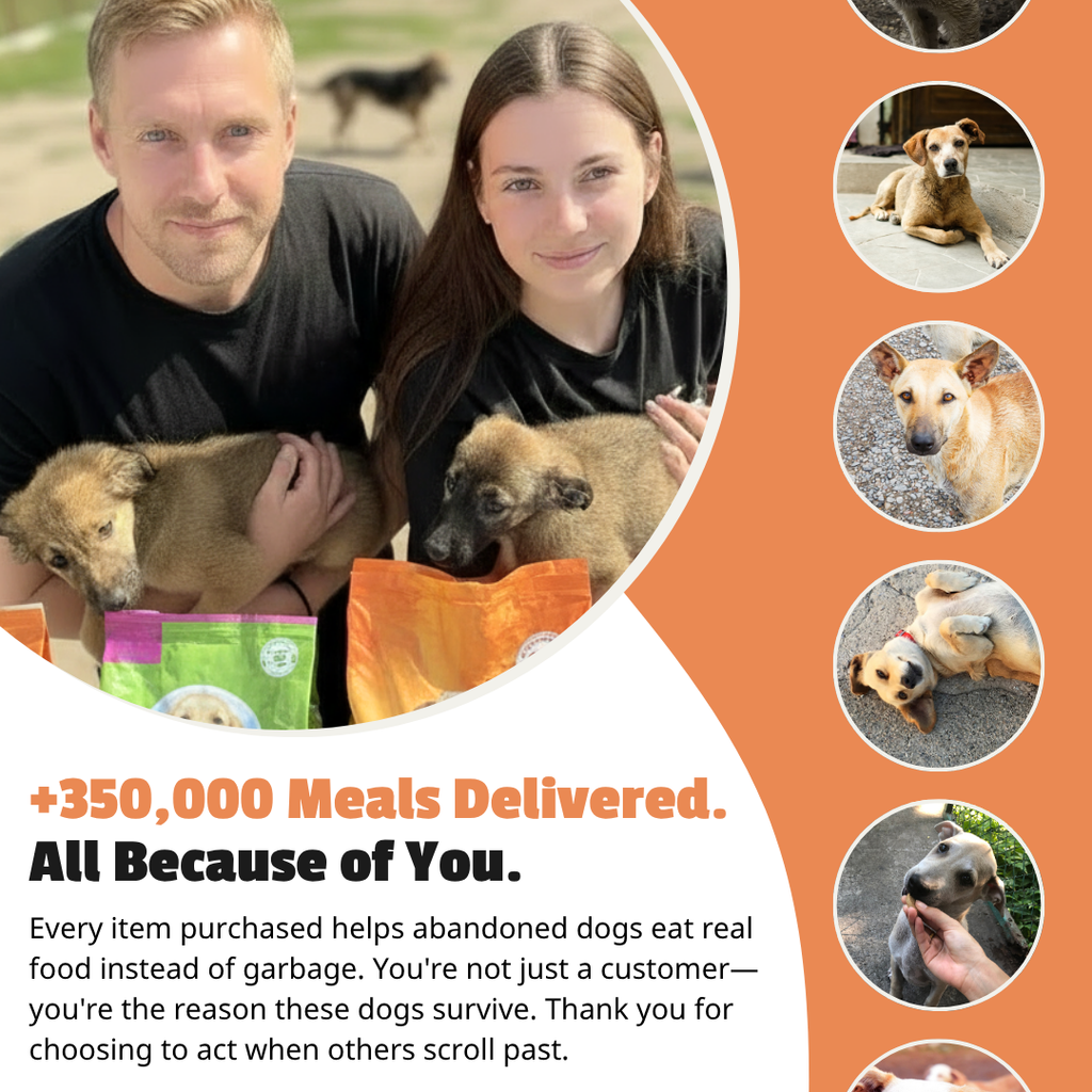 Paw Lifeline Hearth Bracelet